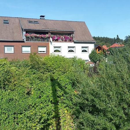 Apartment Bodeweg Schierke Εξωτερικό φωτογραφία